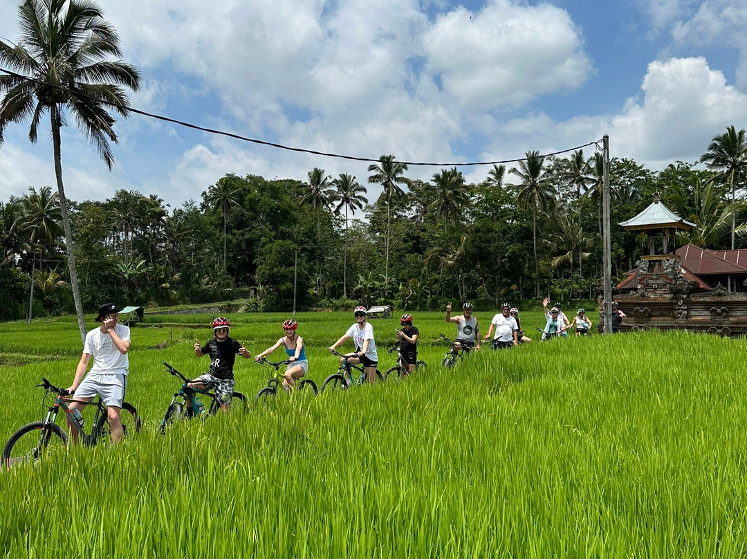 Bali Great Bike Tour-吉安雅必去景点