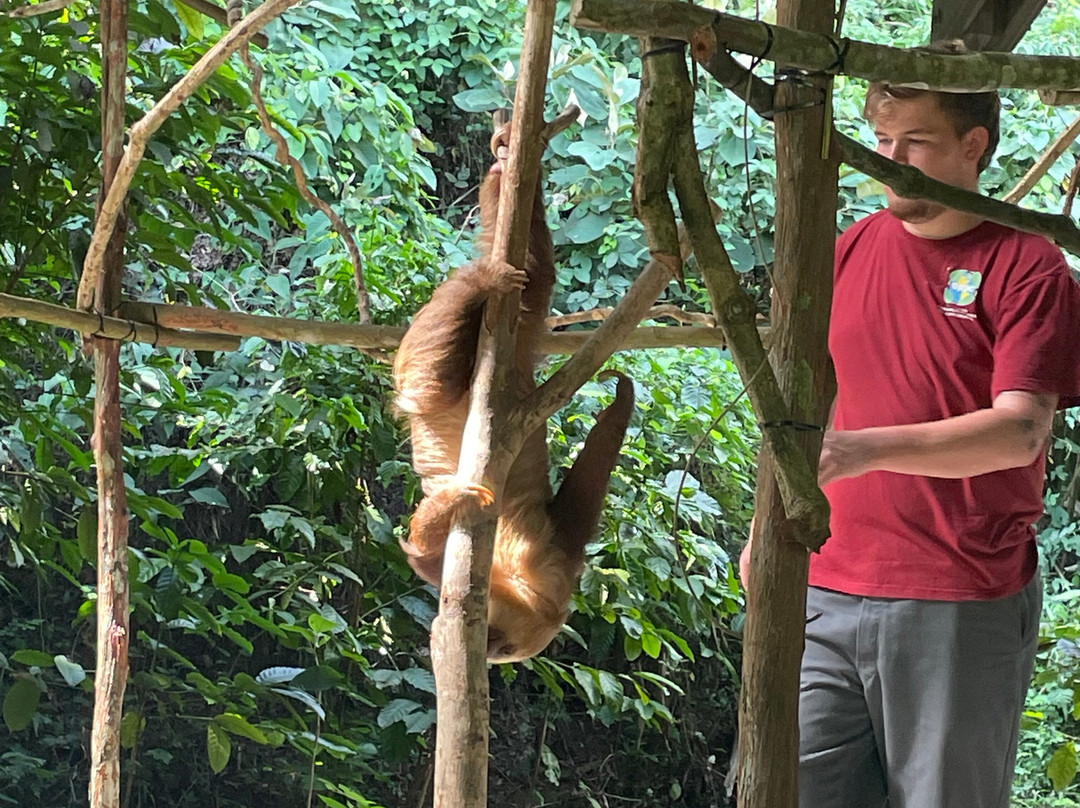 Gamboa Sloth Sanctuary景点图片