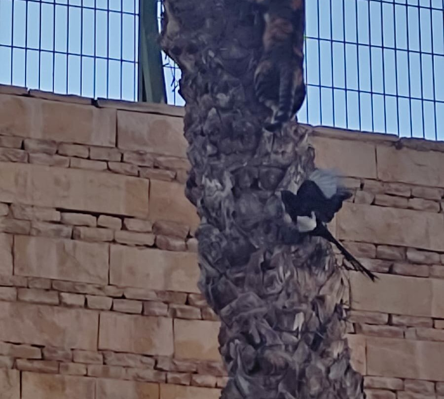 阿加迪尔提姆雷酒店及Spa主图