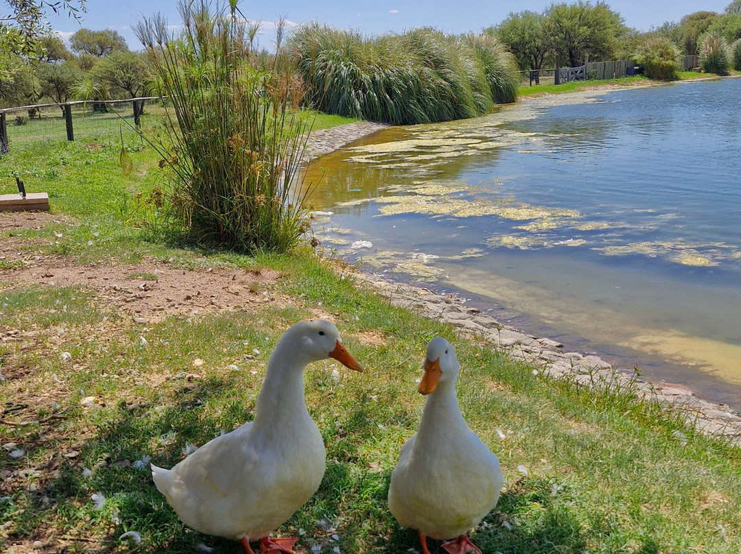 阿米瑞安圣卢宜公园酒店主图