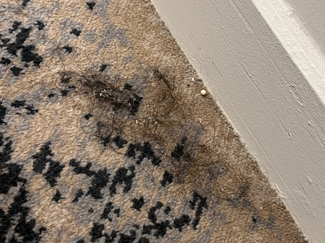 迈阿密EPIC金普顿酒店主图