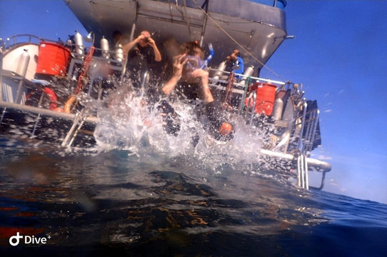 Scuba Diving Fun-查龙必去景点