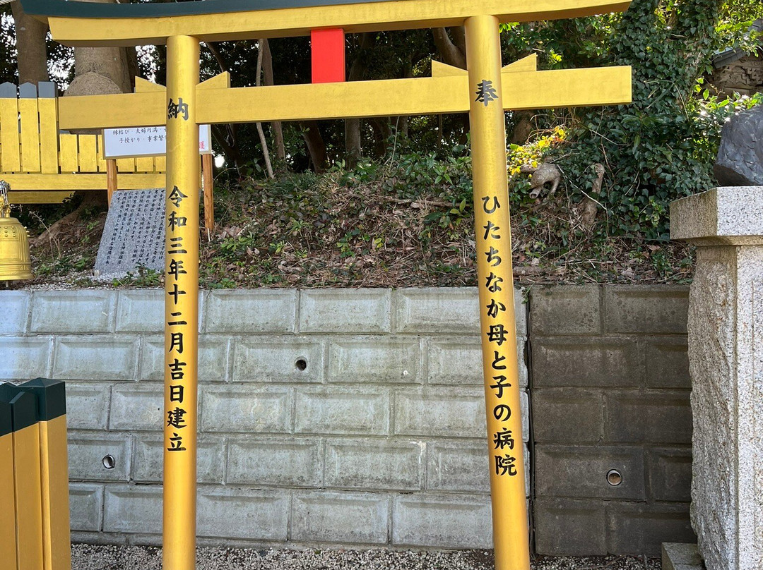 Hoshiimo Shrine-常陆那珂市必去景点