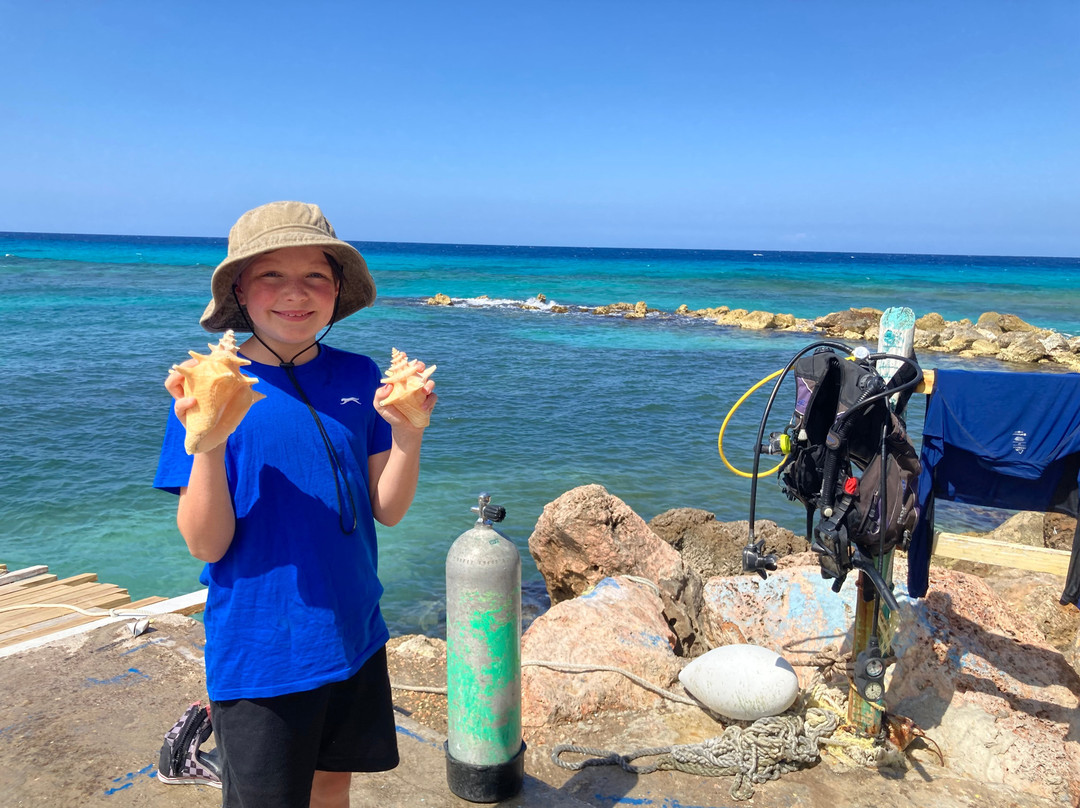 Jamaica Scuba Divers Ltd.景点图片
