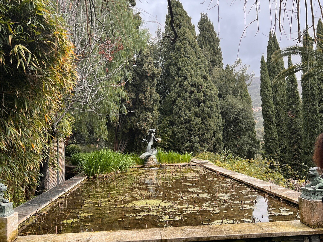 I Giardini di Villa della Pergola景点图片