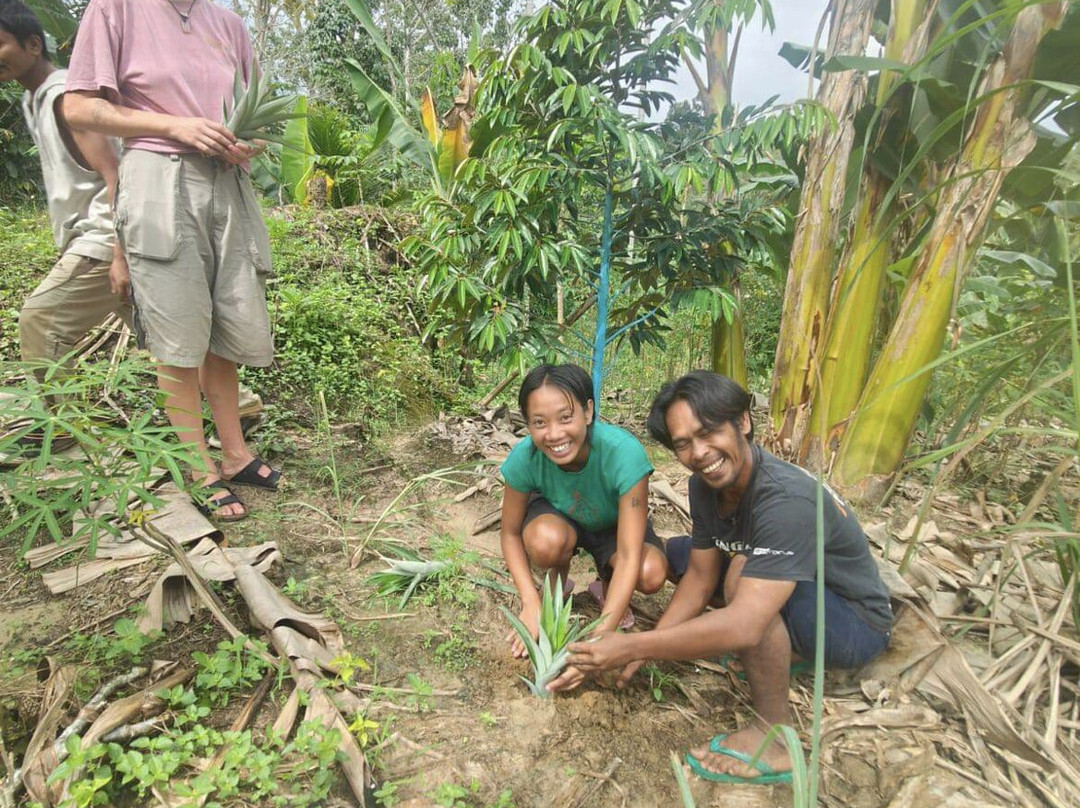 Orangutan Conservation Eco Tours Bukit Lawang-武吉拉旺必去景点