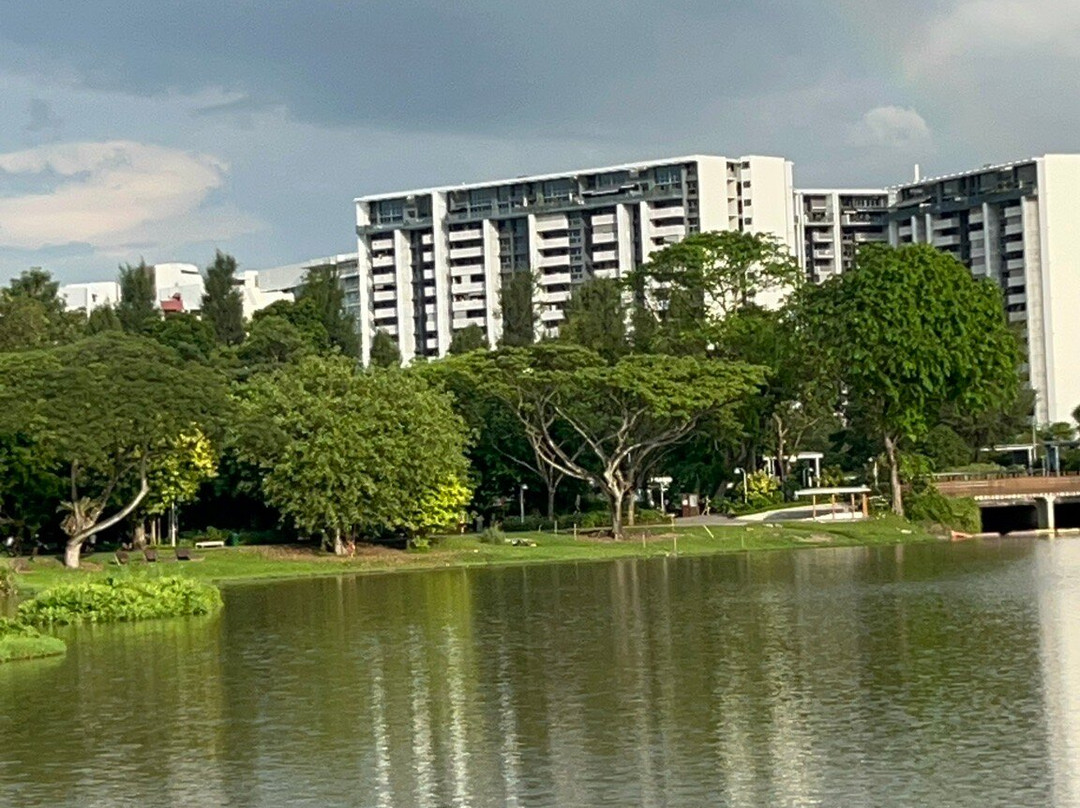 Jurong Lake Garden-新加坡必去景点