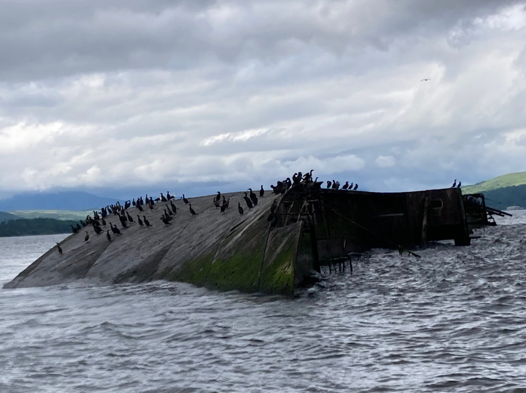 Boat Trips Helensburgh景点图片