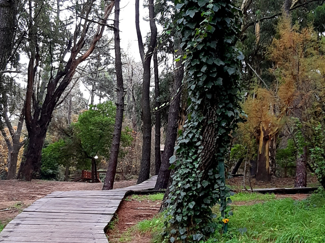 Pinar del Norte景点图片