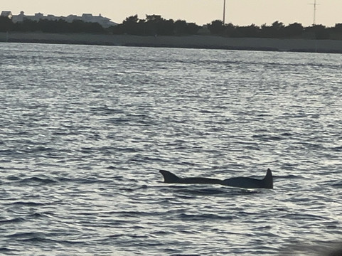 Queens Landing-穆尔斯维尔必去景点