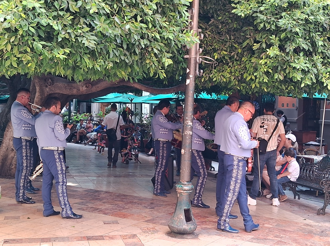 联合花园景点图片