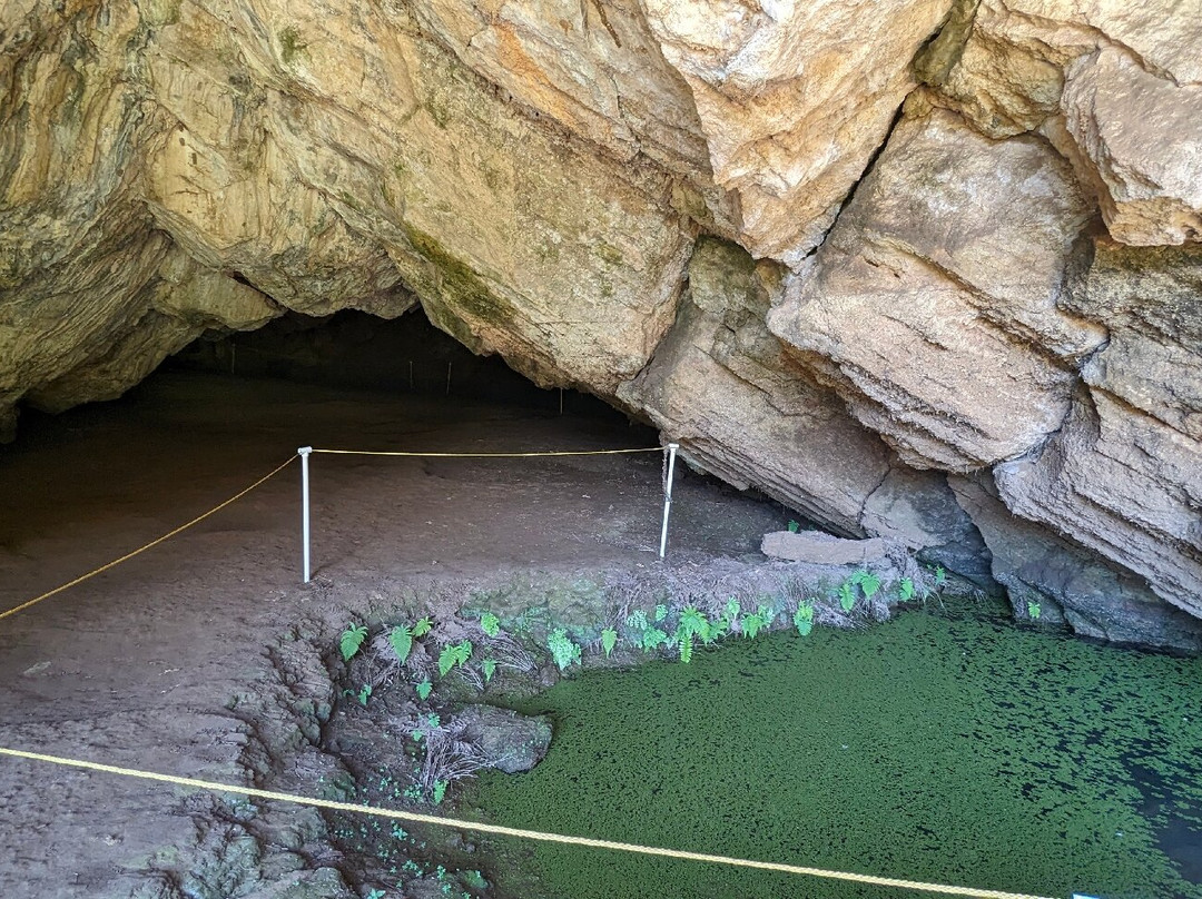 Makauwahi Cave Reserve-卡拉西奥必去景点