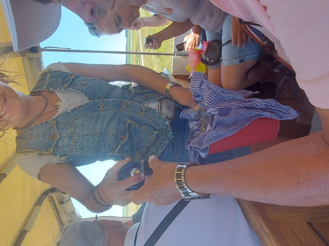 Jan Plezier Huifkartochten Texel-De Waal必去景点