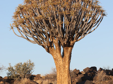 Serene African Adventures-温德和克必去景点