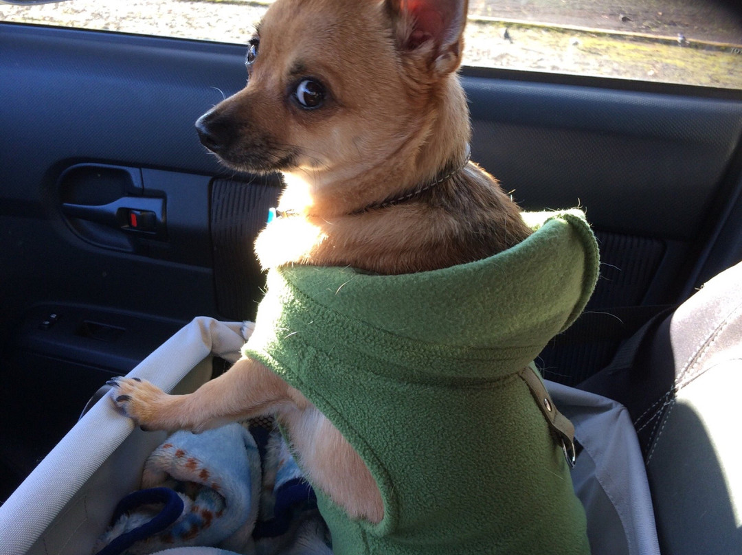 Pioneer Motel & RV Park主图