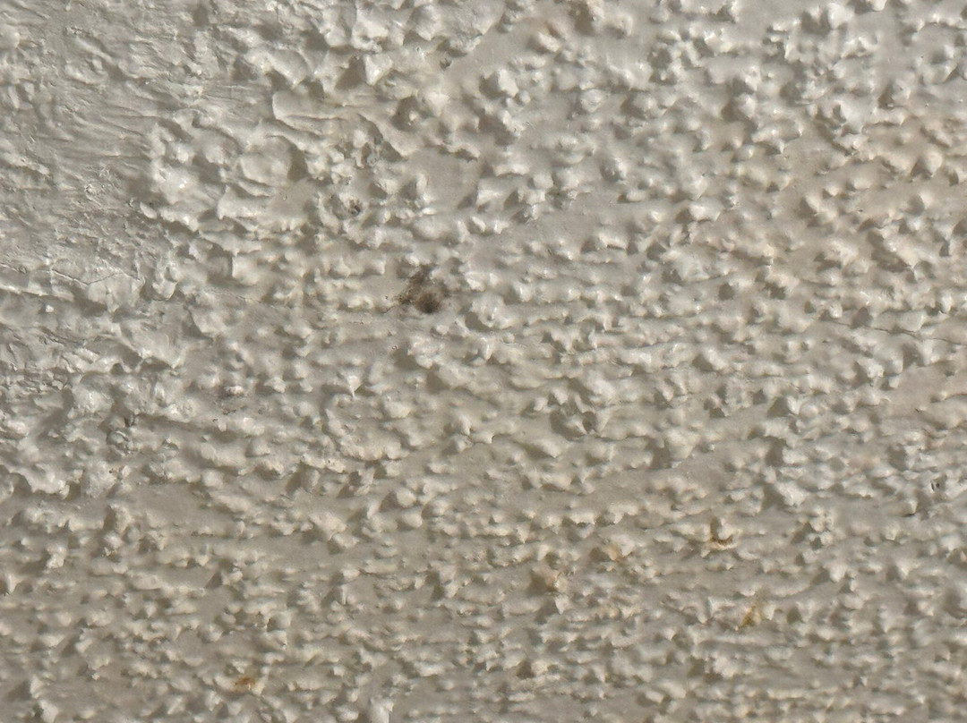 拉顿速8酒店主图