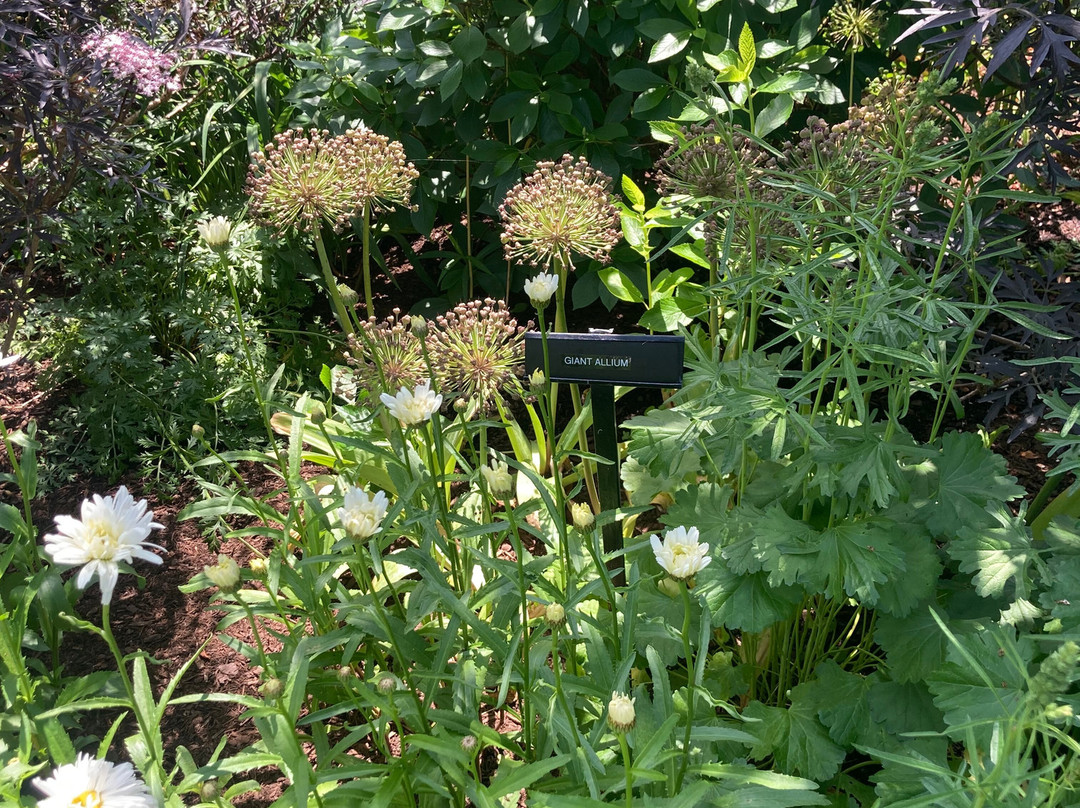 Charlotte Rhoades Garden and Butterfly Park景点图片