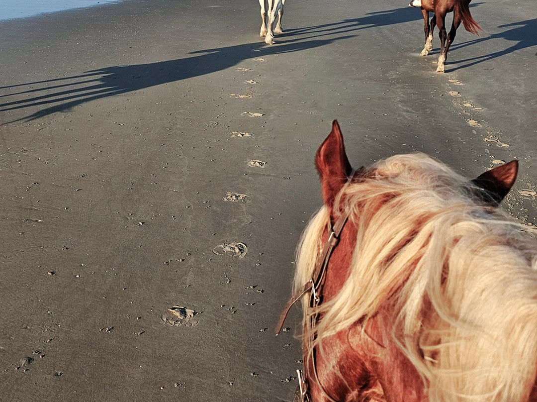 The Stables at Frederica,-圣西蒙斯岛必去景点
