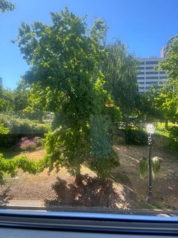 金普顿河畔酒店-酒店景观