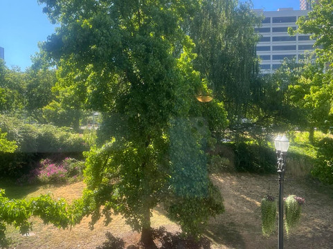 金普顿河畔酒店主图