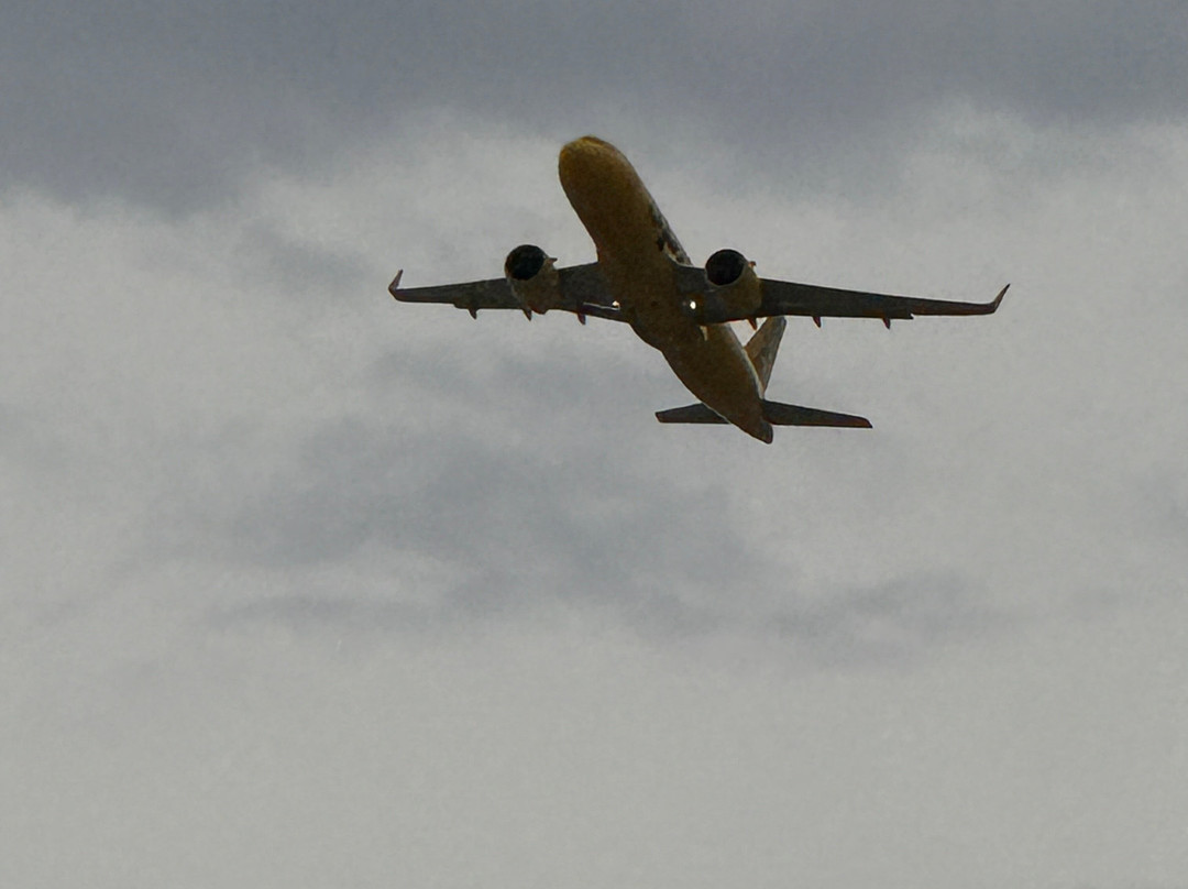 Founder's Plaza Observation Area-欧文必去景点
