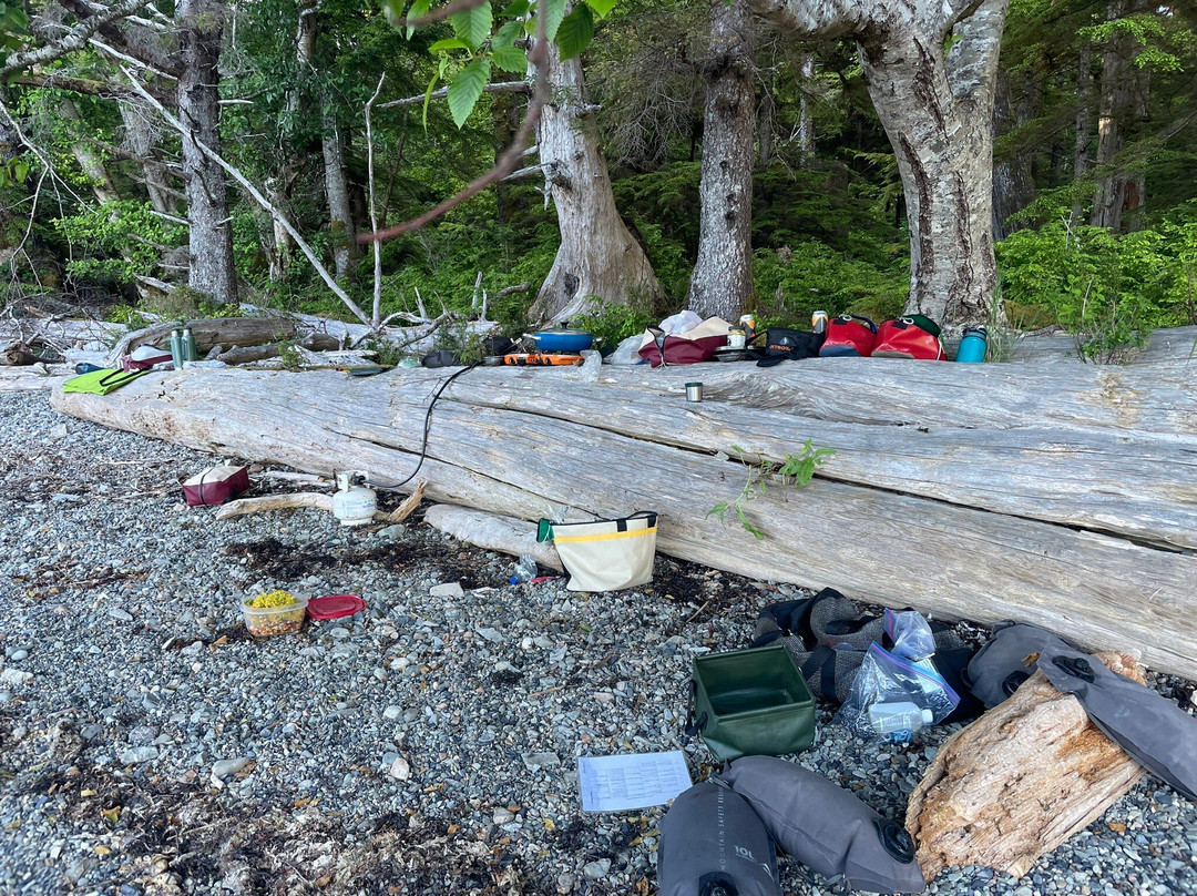 Sea Kayak Haida Gwaii - Butterfly Tours