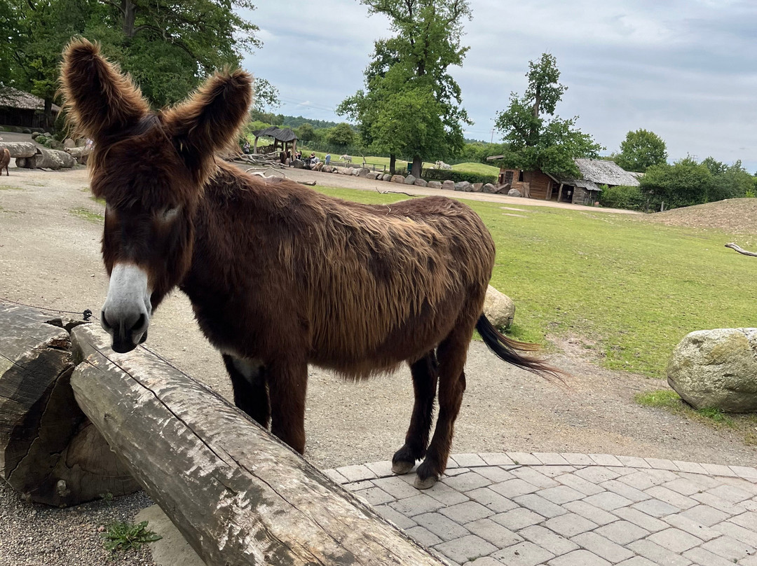 Tierpark Essehof-Lehre必去景点
