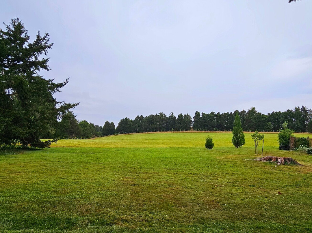 Historic Woodview-Bel Air必去景点