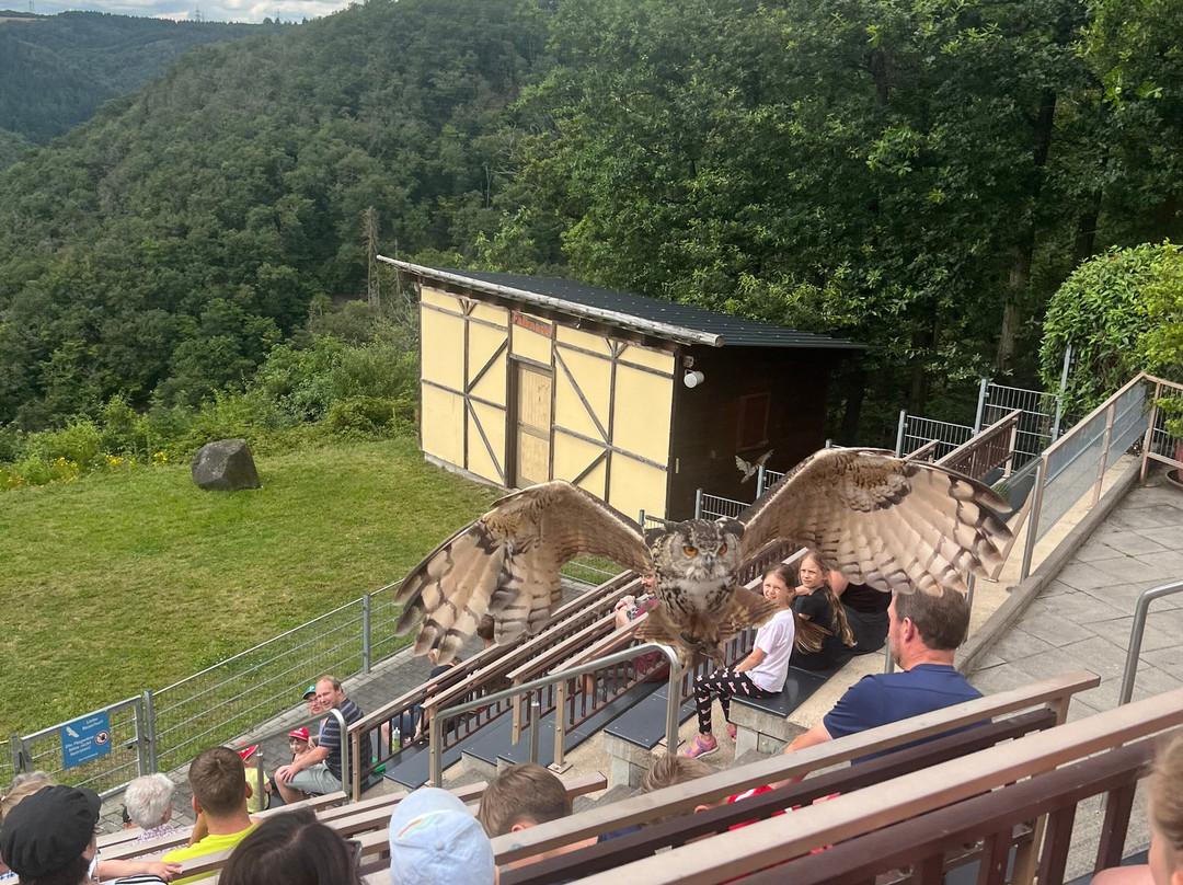 Wild- und Freizeitpark Klotten Cochem景点图片