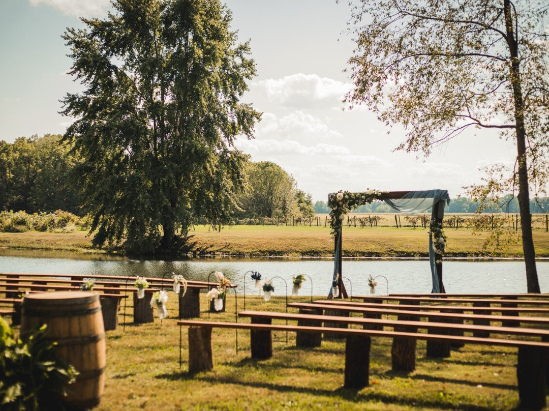 Brocton旅游景点-Castle Finn Vineyard & Winery