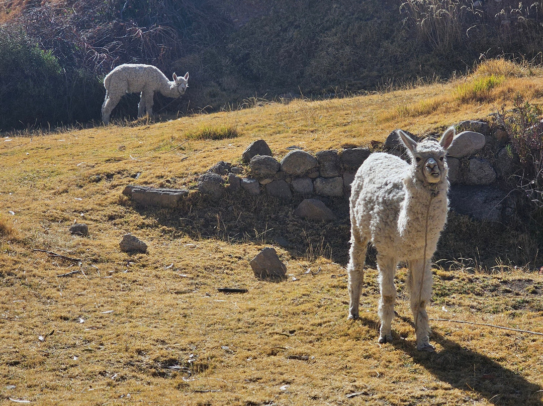 科帕卡瓦纳天堂酒店主图