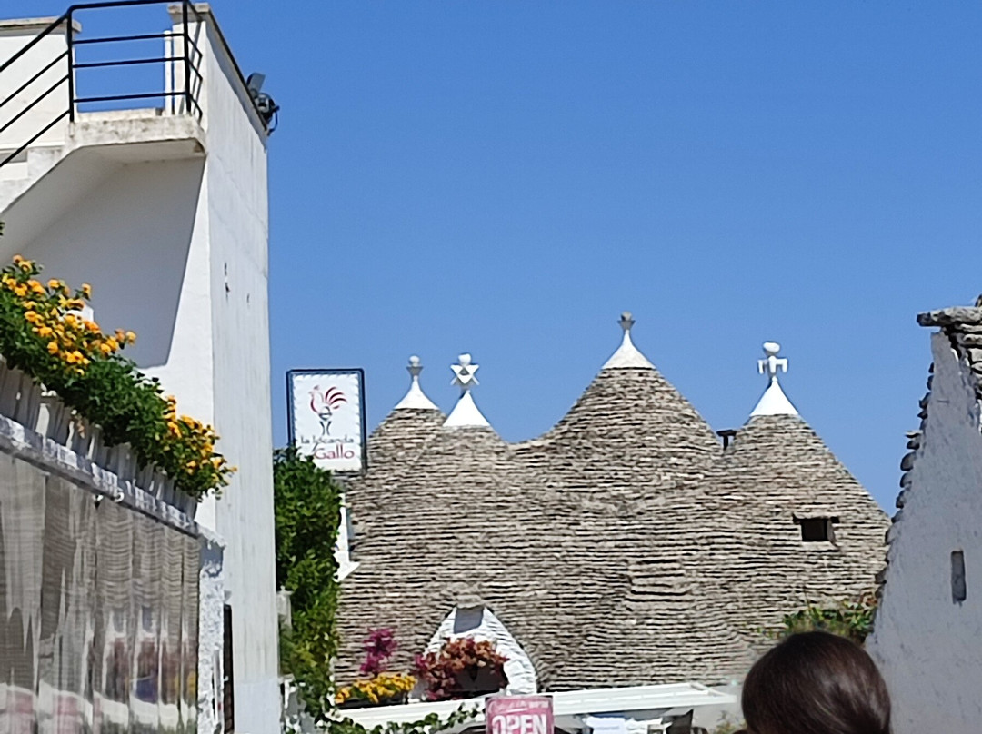 DREAMS FOR TOURISTS s.r.l.s.