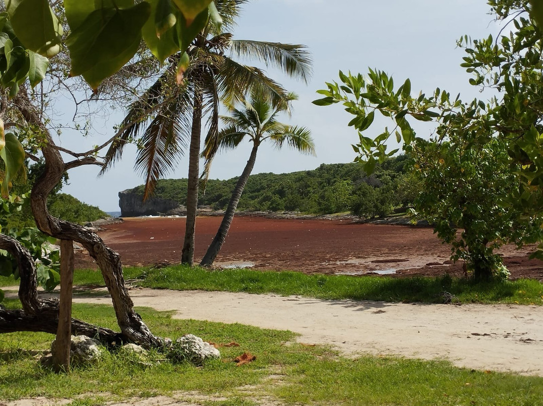 Porte d'Enfer-Le Moule必去景点