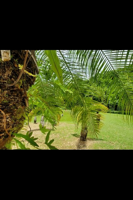 Le Jardin D'Eau-Goyave必去景点