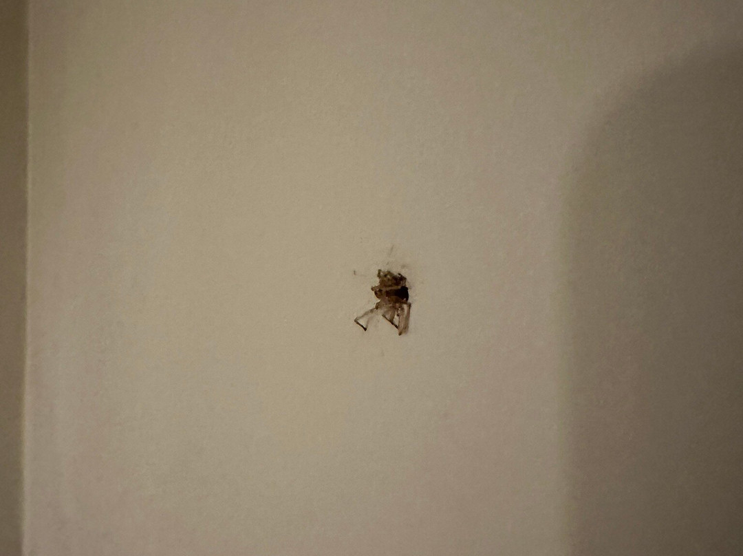 Mill House Inn主图