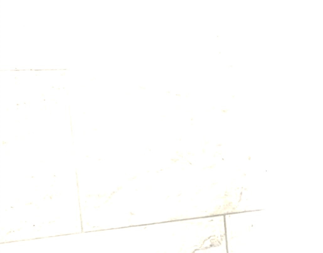 Dulamerovic Resort主图