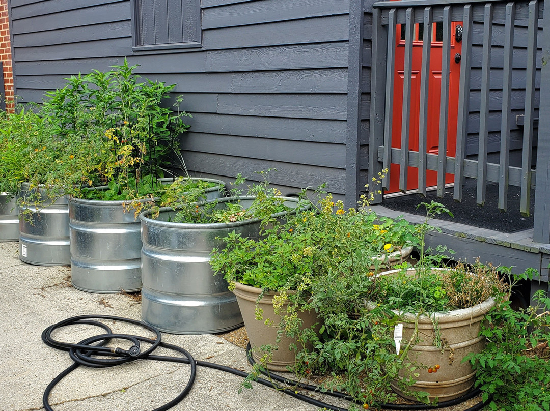 The Williamsburg Manor Bed and Breakfast主图