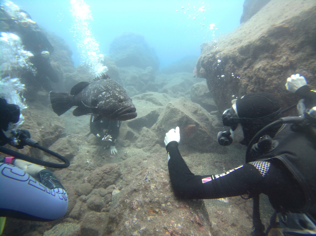 Mero Diving Center景点图片