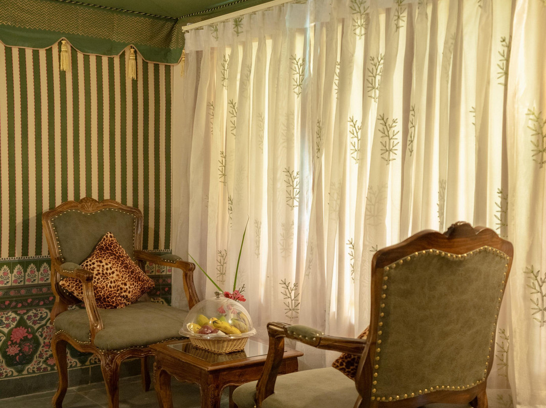 Kutani Bagh Sariska主图