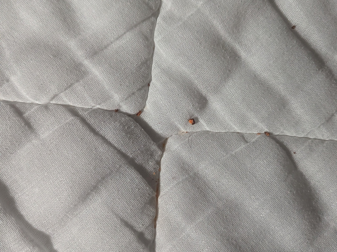 Travelodge by Wyndham Evanston主图