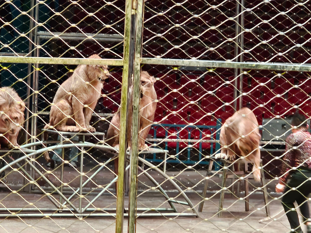 俄罗斯套娃广场-满洲里市必去景点