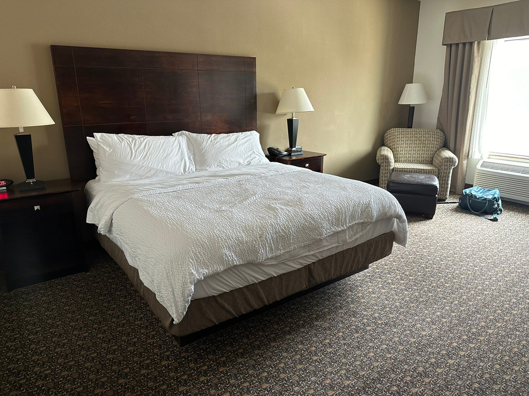 兰德快捷假日&套房酒店主图