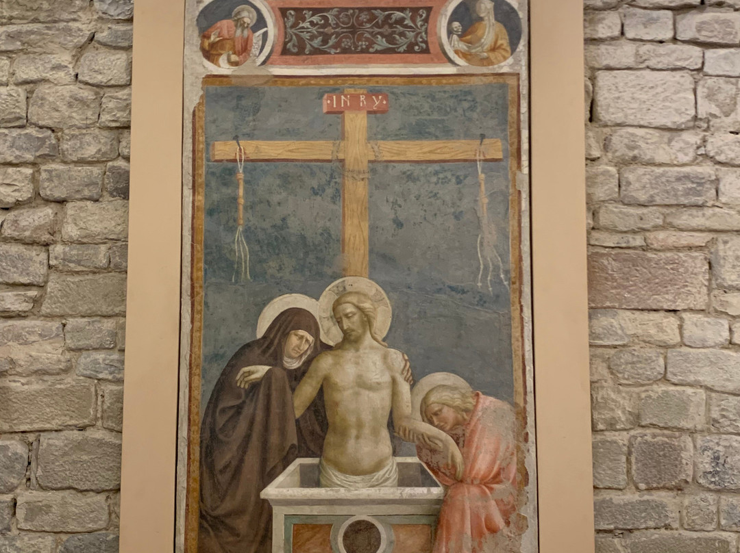 Museo della Collegiata di Sant'Andrea景点图片