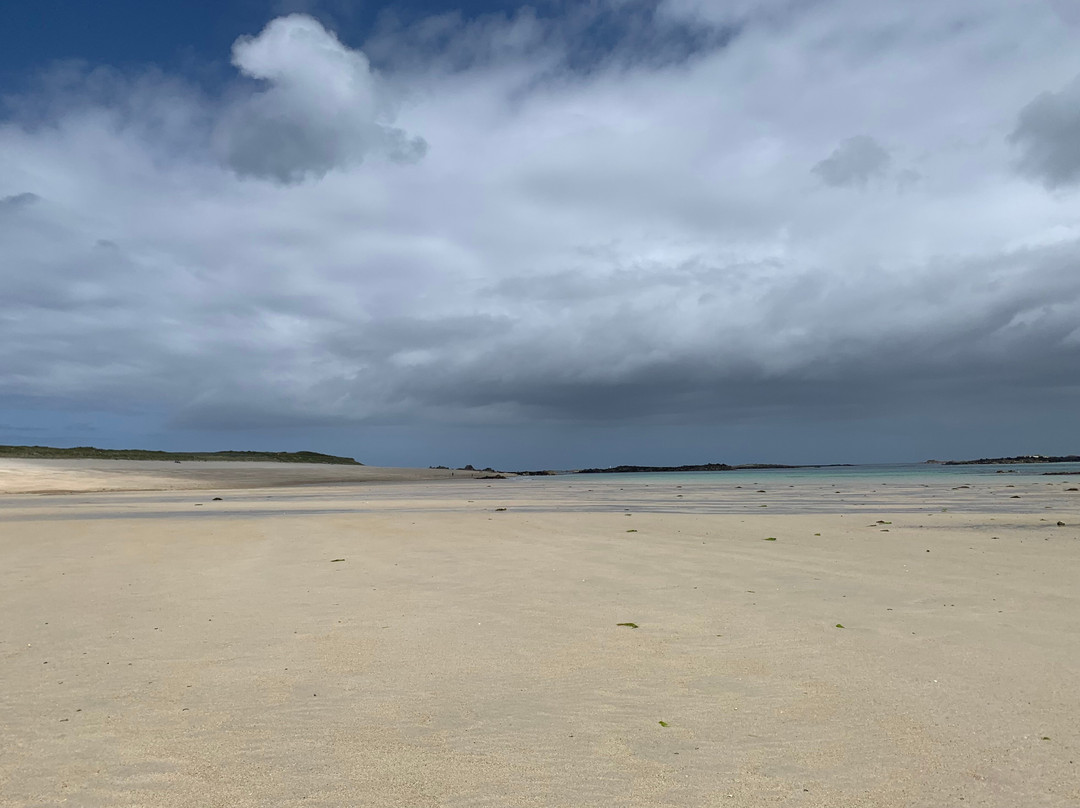 Seagull Campsite