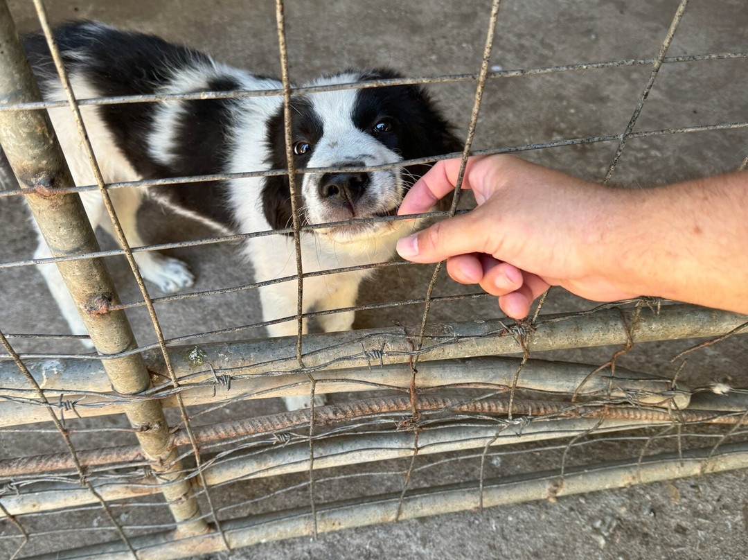 Kariofylli Farm-Lepetymnos必去景点