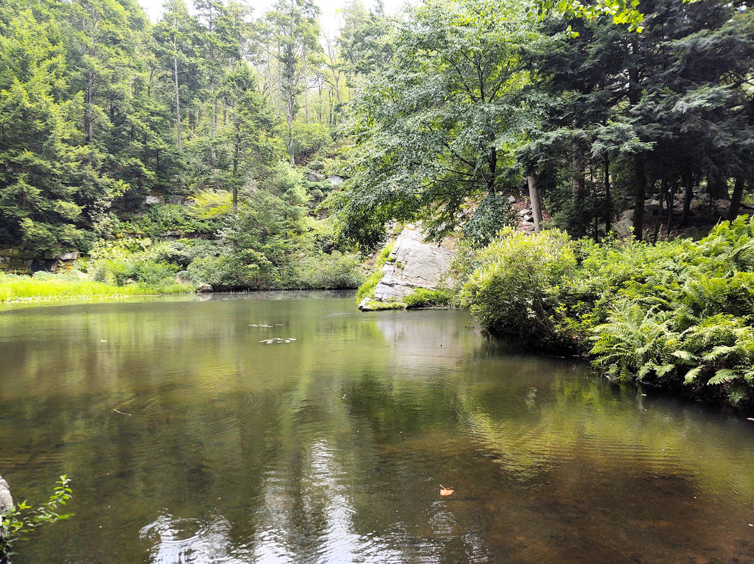 Manitoga / The Russel Wright Design Center景点图片