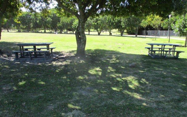 Jack Muller/ Danie Uys District Park, City Of Cape Town-Bellville必去景点