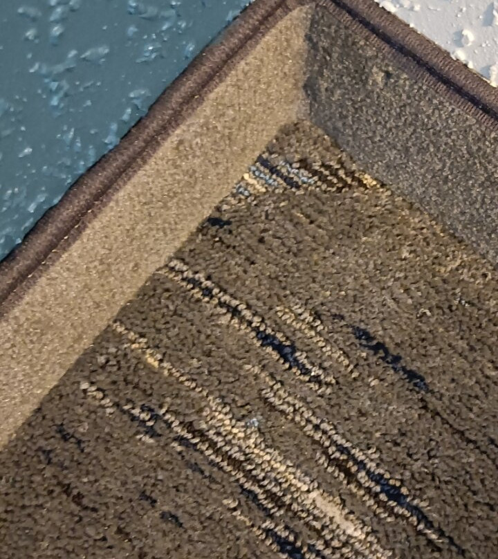 Holiday Inn Express & Suites Walterboro I-95 by IHG主图