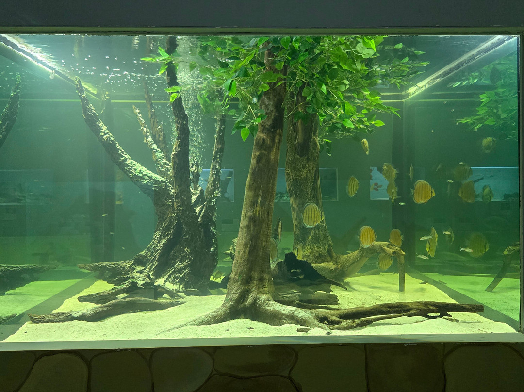 Aquarium Of The Amazon-伊基托斯必去景点