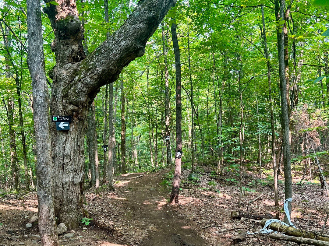 Domaine Kanawe-Cantley必去景点